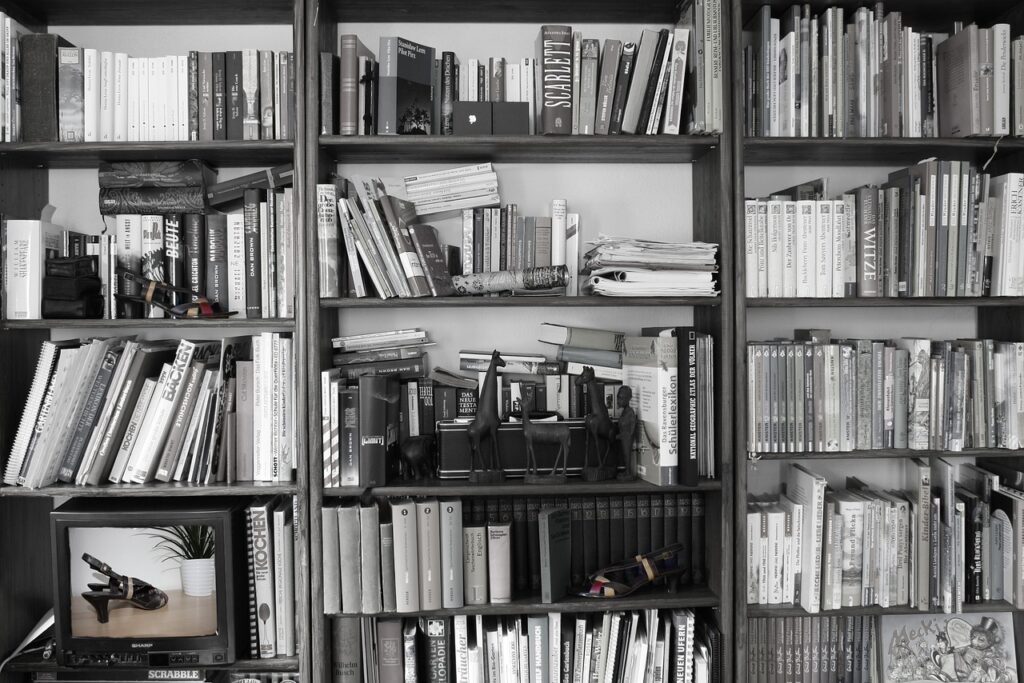 books, shelf, retro-635341.jpg